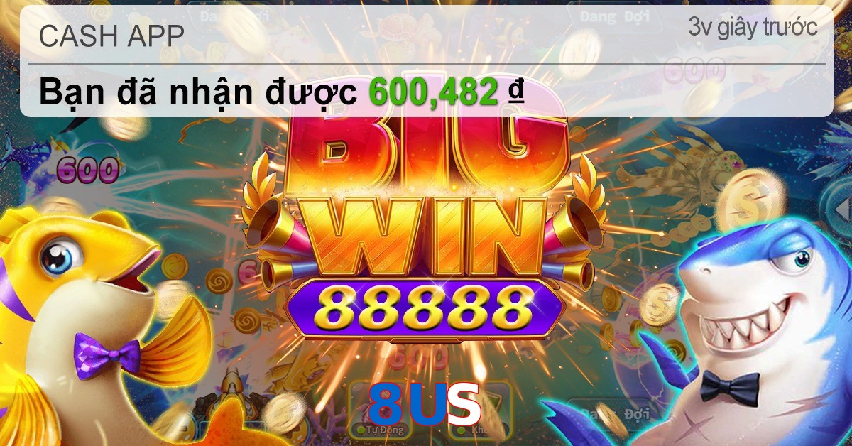 8US